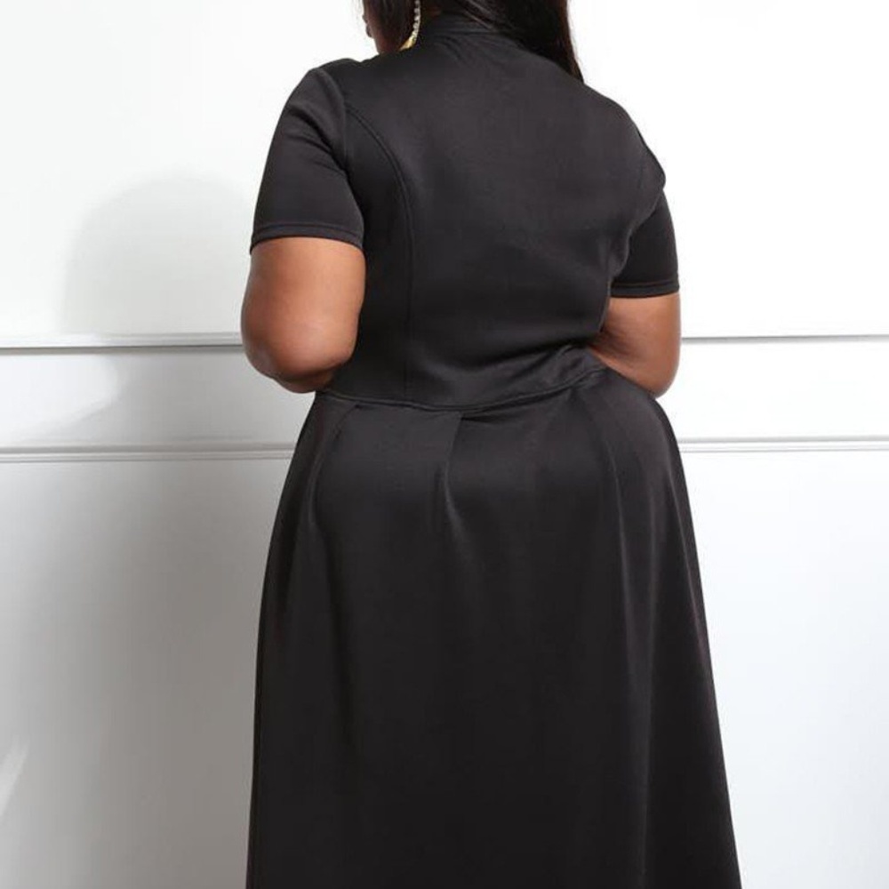 Tie Neck Fit and Flare Midi Dress - Picture 5 of 7